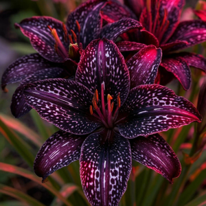 Лилейник Вояж купить по цене от 699р. в интернет-магазине «Посадика» с доставкой почтой в в Северодвинске и по всей России – [изображение №1].